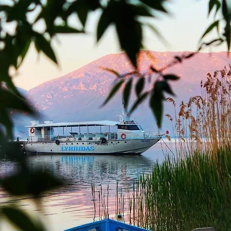 莱尼达斯酒店 4* Udenisht