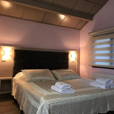 莱尼达斯酒店 4*