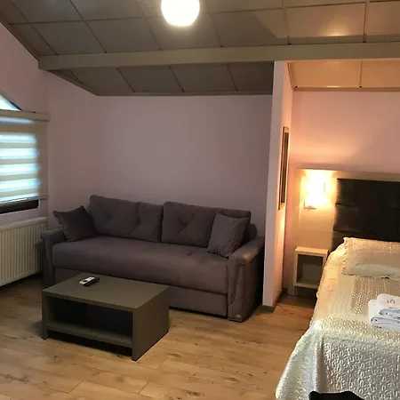 莱尼达斯酒店 Udenisht