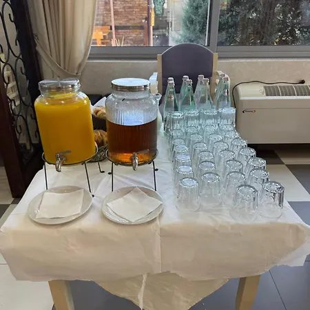 莱尼达斯酒店 酒店 Udenisht